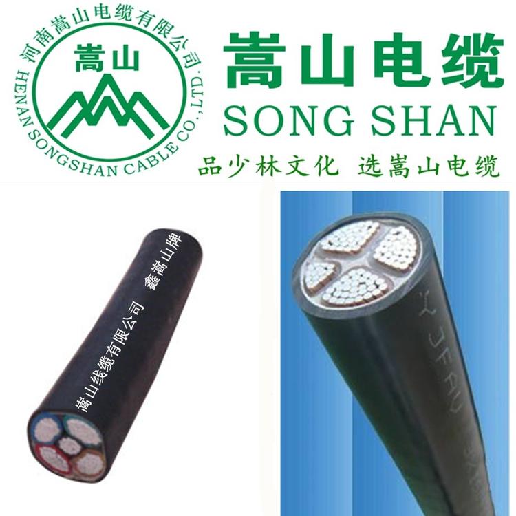 铝芯低压电力电缆ZCYJLV 2芯国标电缆 河南嵩山电缆有限公司