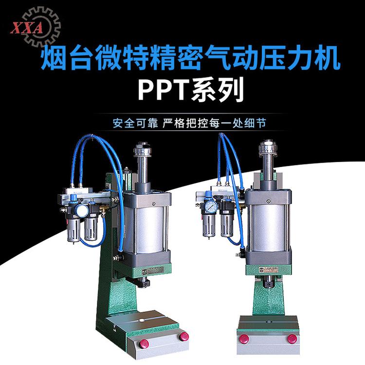 PPT-0.8-75-10-MF精密气动压力机