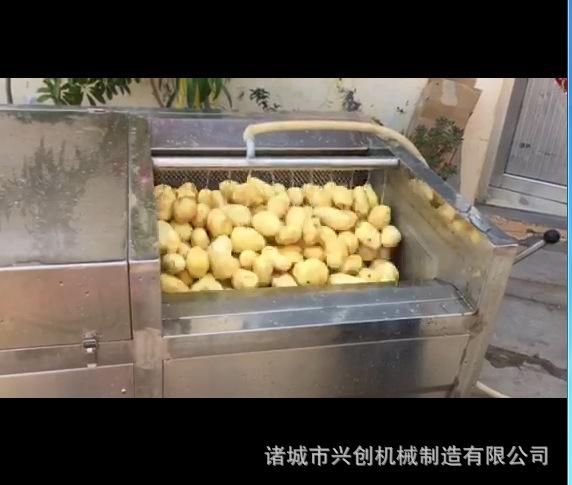 花生去泥机 胡萝卜清洗机 甜菜根清洗机 花生清洗机 鲜花生去泥