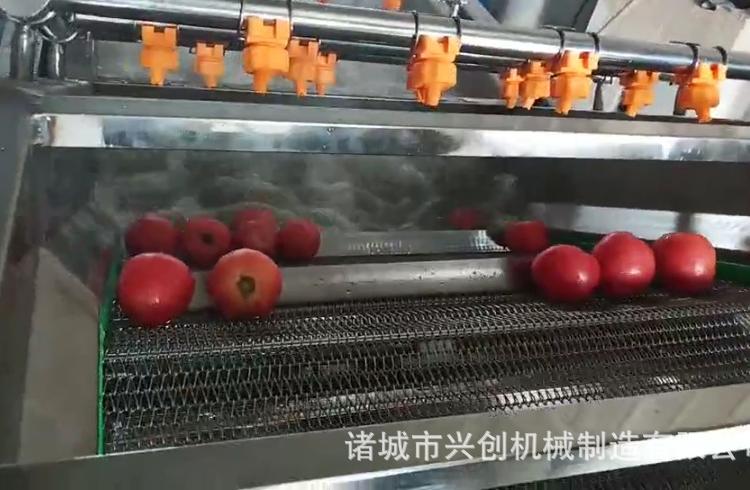 番茄清洗机 番茄清洗设备 圣女果清洗设备报价