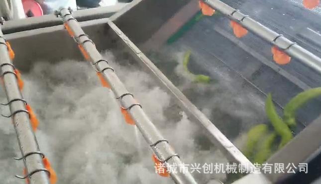 辣椒清洗机 菜椒清洗设备 气泡清洗机价格