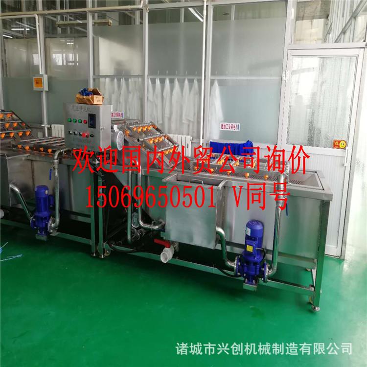 柿子清洗机 气泡清洗线 净菜加工设备 厂家直销气泡清洗机