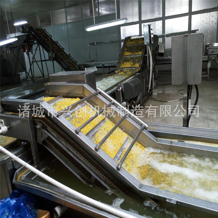 玉米蒸煮漂烫机 多味花生漂烫机 全自动漂烫杀菌线 定制漂烫机