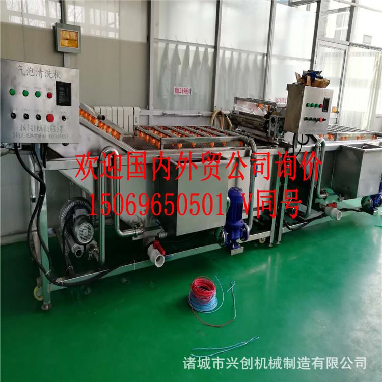 大枣清洗机 圣女果清洗机 厂家定做净菜加工设备 净菜配送设备