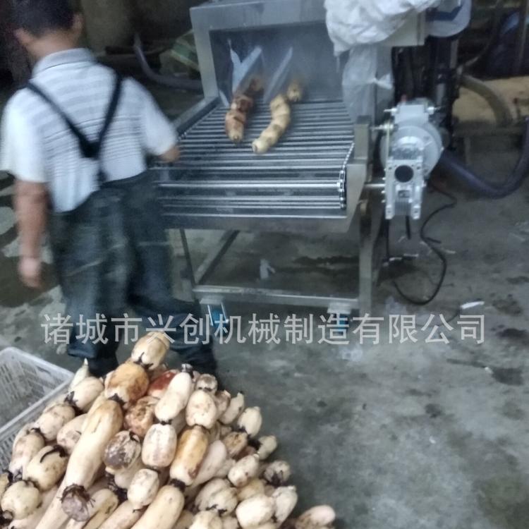 莲藕清洗机 莲藕洗泥机 高压清洗莲藕机器 厂家定制