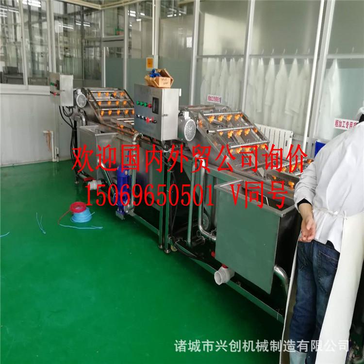 厂家直供气泡清洗 韭菜清洗蔬菜清洗切割