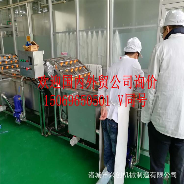 蔬菜漂洗清洗机