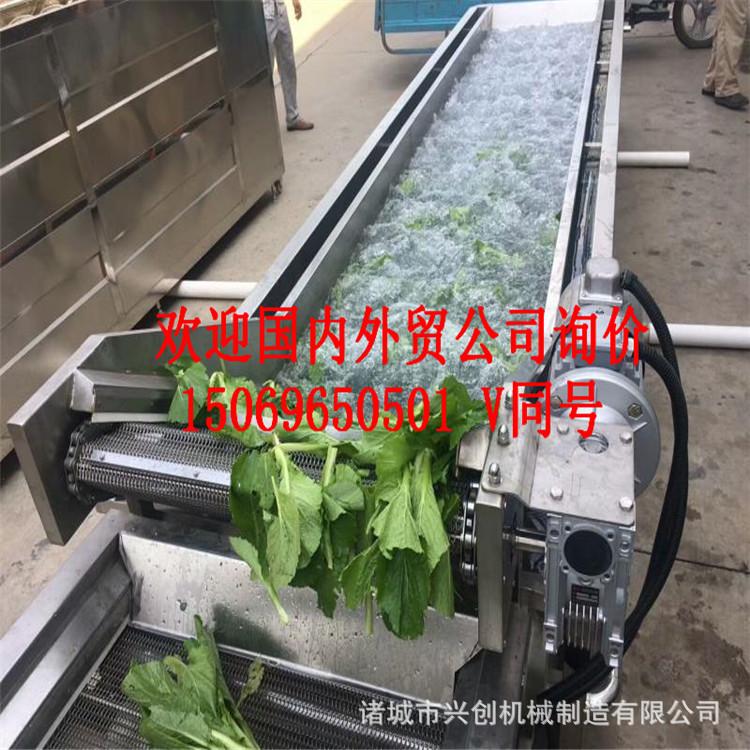 青刀豆 荷兰豆清洗机
