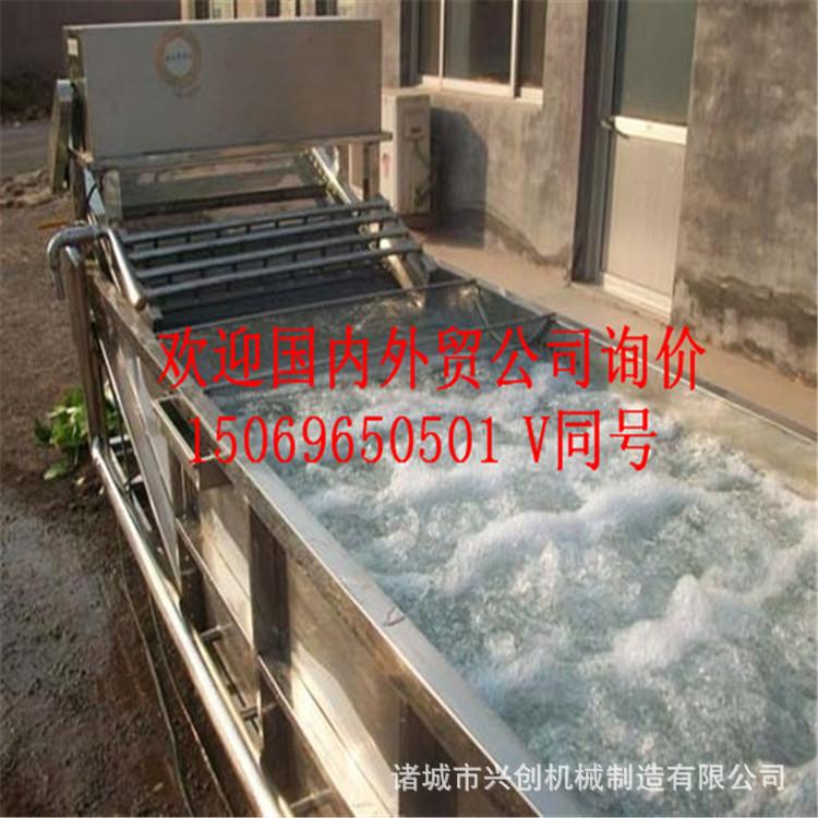 厂家供应多功能蔬菜气泡清洗机 涡流清洗机 去杂清洗机 实惠