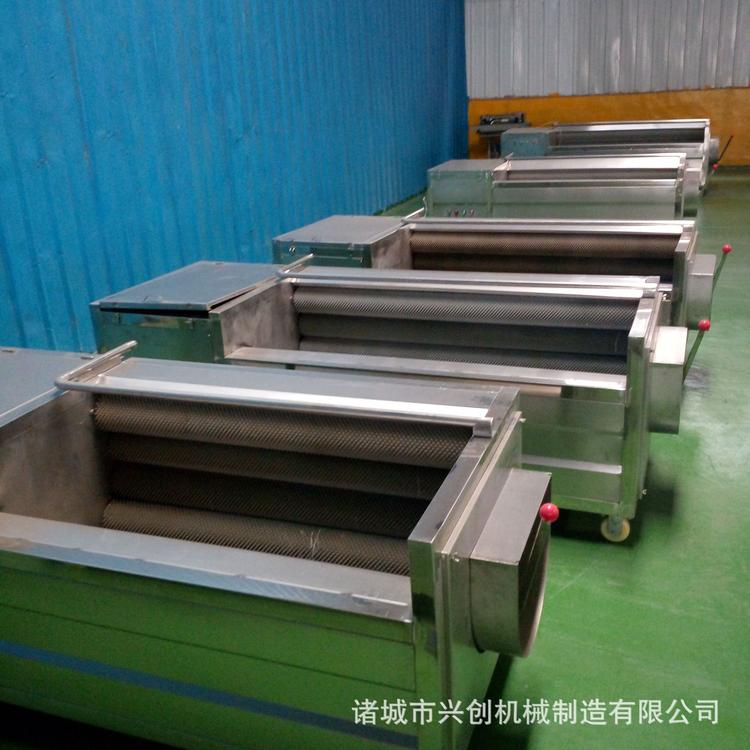 定制胡萝卜、水萝卜 红萝卜 青萝卜清洗机 清洗流水线 气泡清洗机