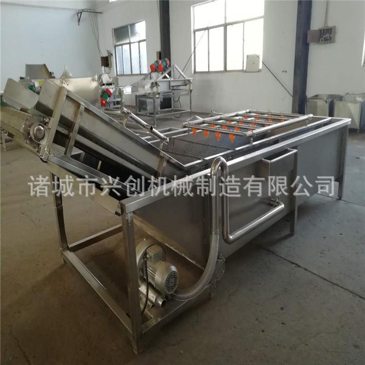 水果清洗机 水果全自动清洗线 水果清晰设备