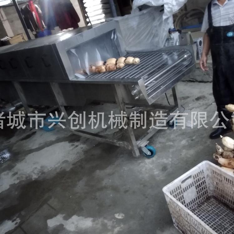 洗姜机 洗藕机 高压清洗机 莲藕洗泥机 厂家定制