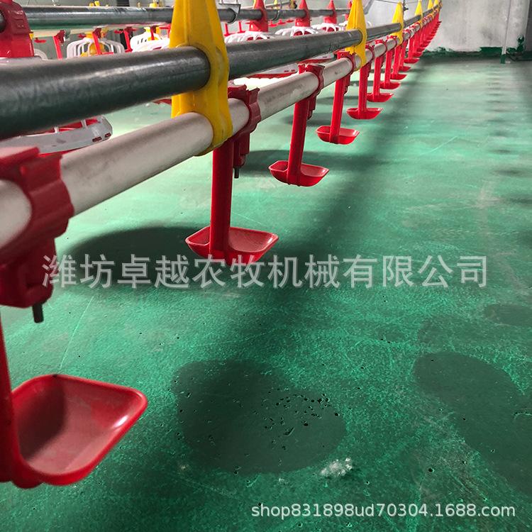 供应养鸡料线 养鸡自动喂料设备 规格全 价格低