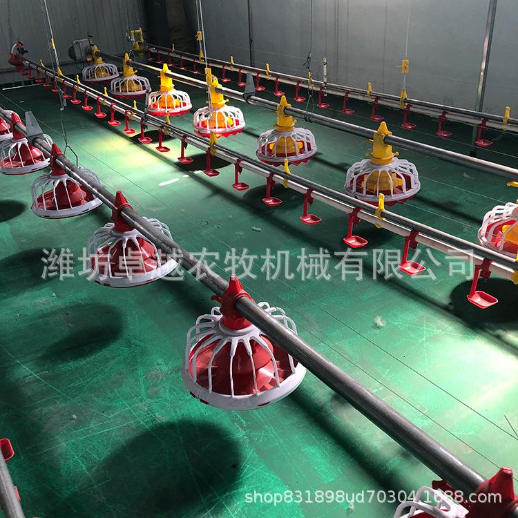 养鸡饲料线设备 养鸡全自动化料线水线弹簧绞龙 厂家直销