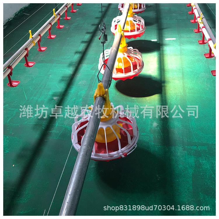 厂家直销养殖专用设备养殖自动料线肉鸡自动喂料质量保障