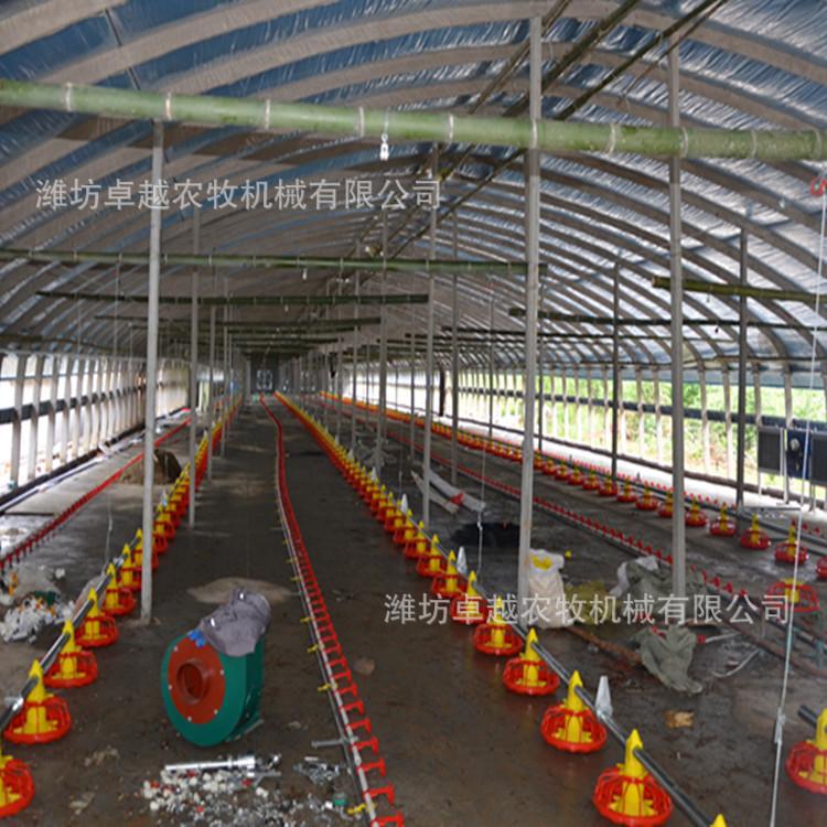 自动料线 鸡舍养鸡料线 养鸡自动料线 养鸡自动化设备 平养鸡料线