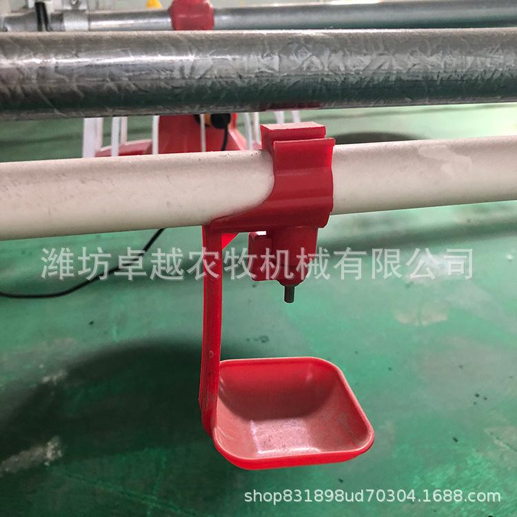 养鸡自动水线 鸡上水线 肉鸡水线 养鸡水线