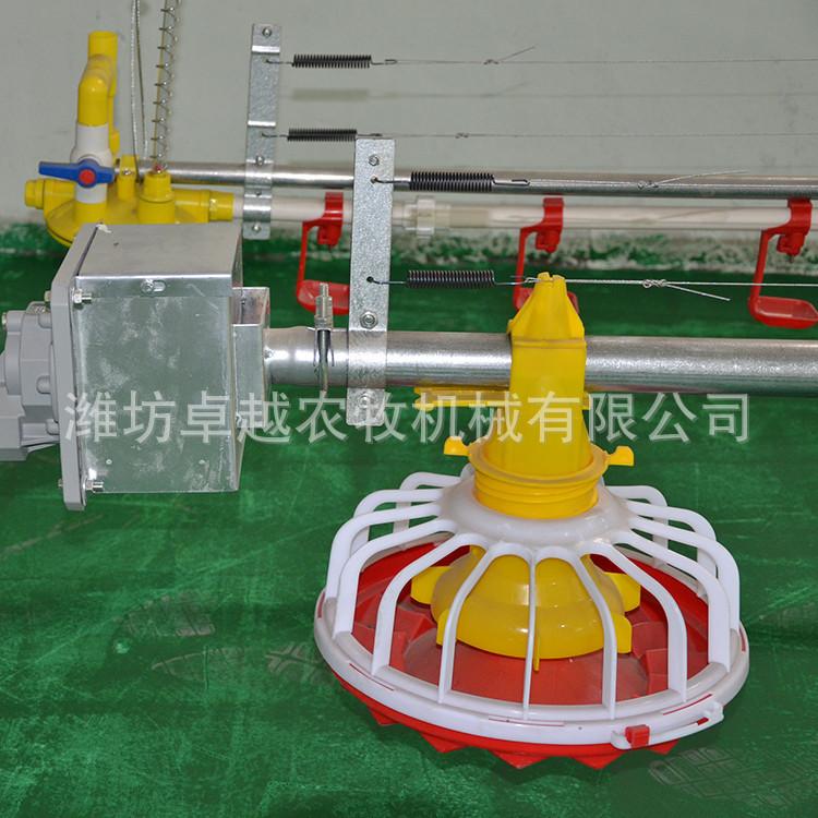 厂专业生产养鸡设备 养鸡料线 自动喂料线 规格齐全 可定制