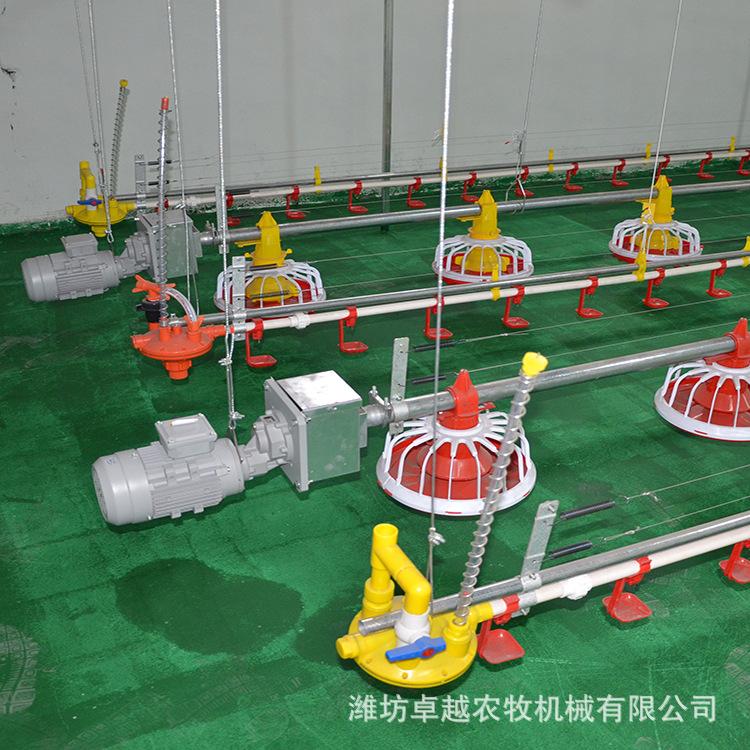 养鸡自动料线散养肉鸡料线自动喂料设备厂家直销规格齐全