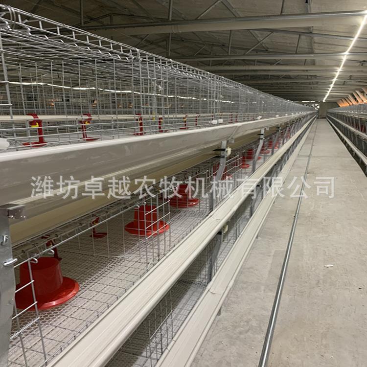 厂专业生产肉鸡鸡笼 笼养设备 养鸡设备规格齐全可定制 批发