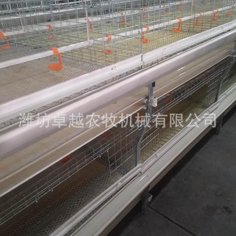 阶梯式鸡笼大肉鸡鸡笼养鸡笼子铁丝网工业化养鸡设备厂家直销