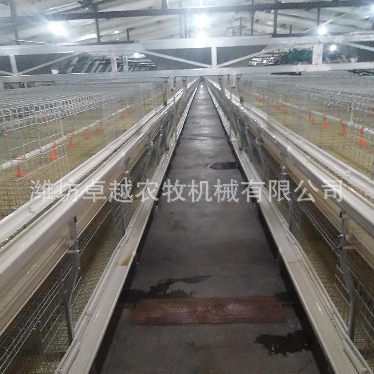 厂家批发阶梯式层叠式蛋鸡笼设备养鸡专用笼具 自动化养鸡设备