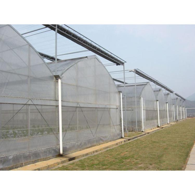 山东青州薄膜温室大棚工程 可按需定制 结构稳定 欢迎咨询