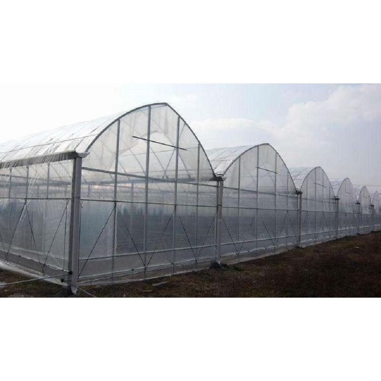 连栋温室建造 连栋薄膜温室建造