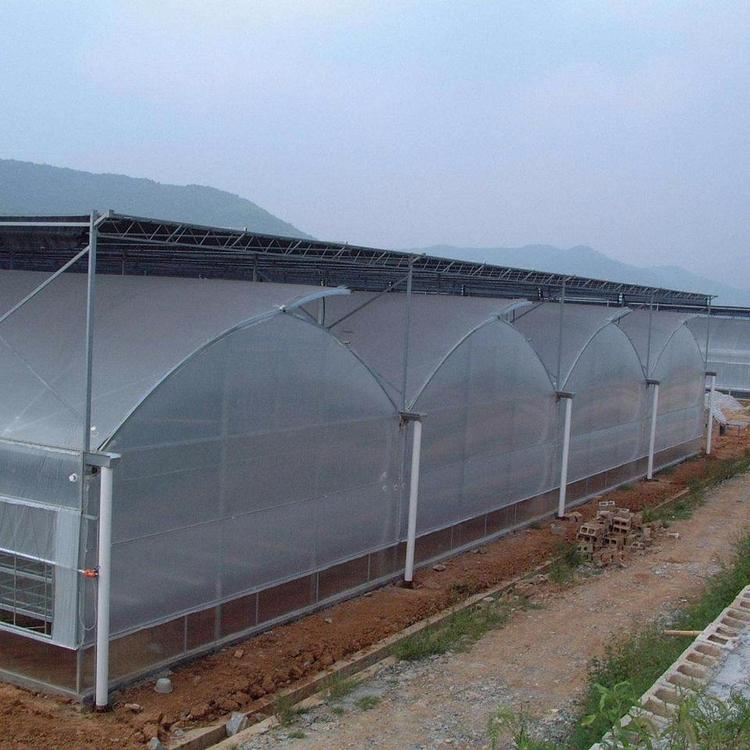 HYD连栋温室建造 智能连栋温室价格