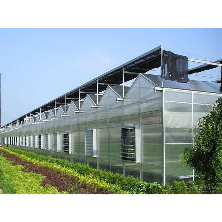 山东连栋温室价格 玻璃连栋温室建造