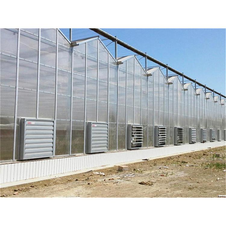 阳光板温室大棚造价||阳光板蔬菜大棚设计建造