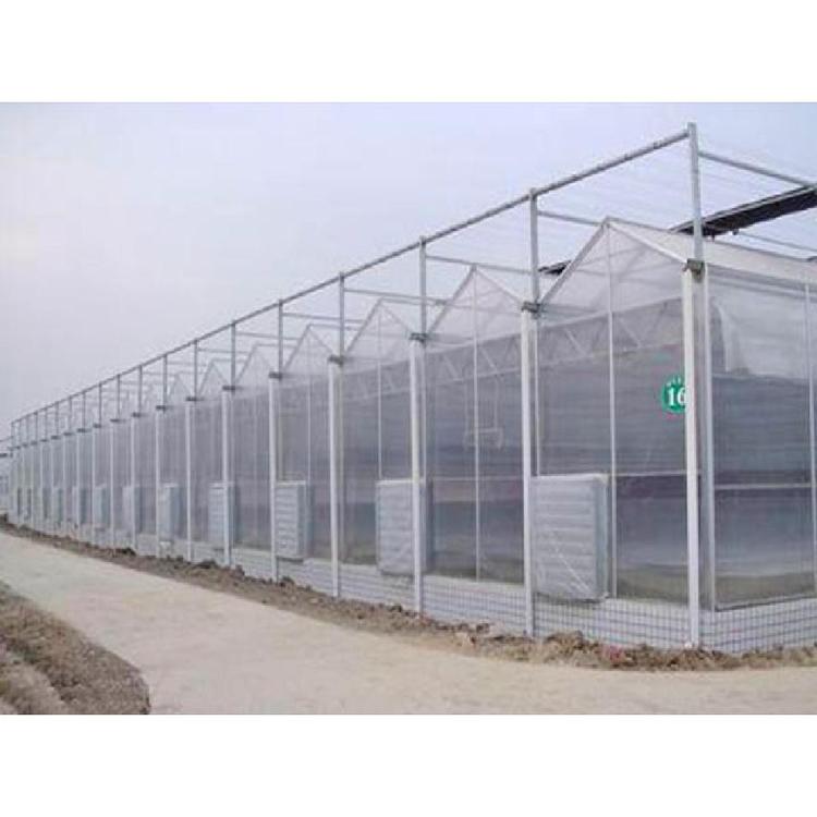 【推荐】河北阳光板温室工程 阳光板蔬菜温室造价
