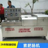 厂家现货销售牛排豆皮机 不锈钢素肥肠机 高产量豆制品加工设备