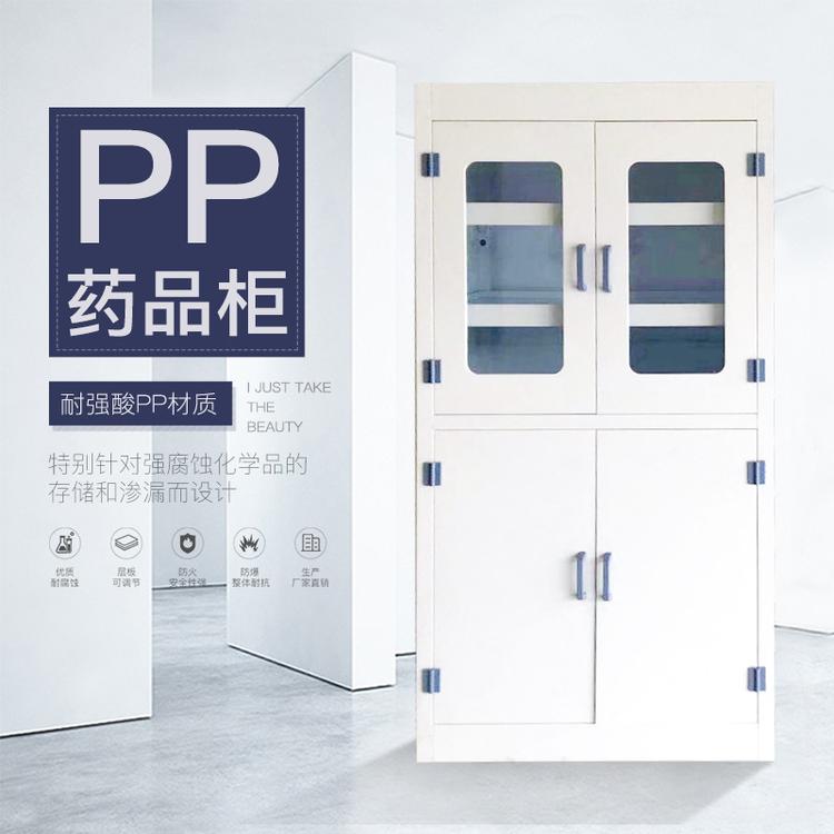 仁信厂家直销实验室PP器皿柜 实验室通风柜 试剂柜药品柜供应