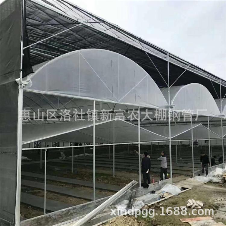 安徽河北大棚骨架葡萄棚 蔬菜瓜果棚火龙果棚大棚钢架结构 耐用型