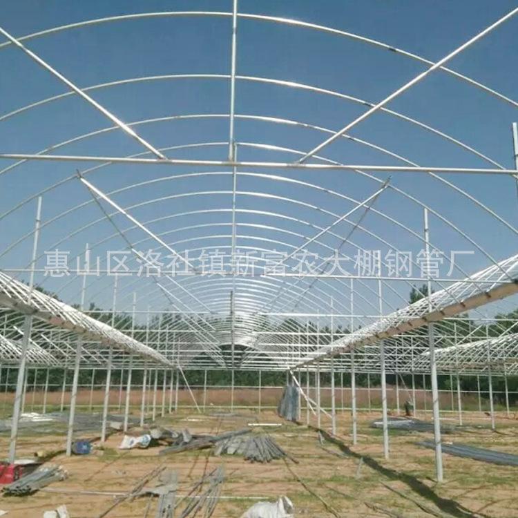 厂家直销异型螺旋温室连体大棚钢管 各种无缝矩形大棚钢管可定制