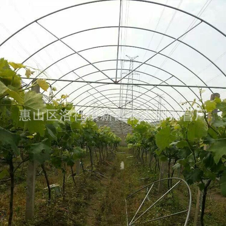 江西宜春上饶长期供应热镀锌钢管 批发蔬菜大棚骨架 葡萄大棚配件