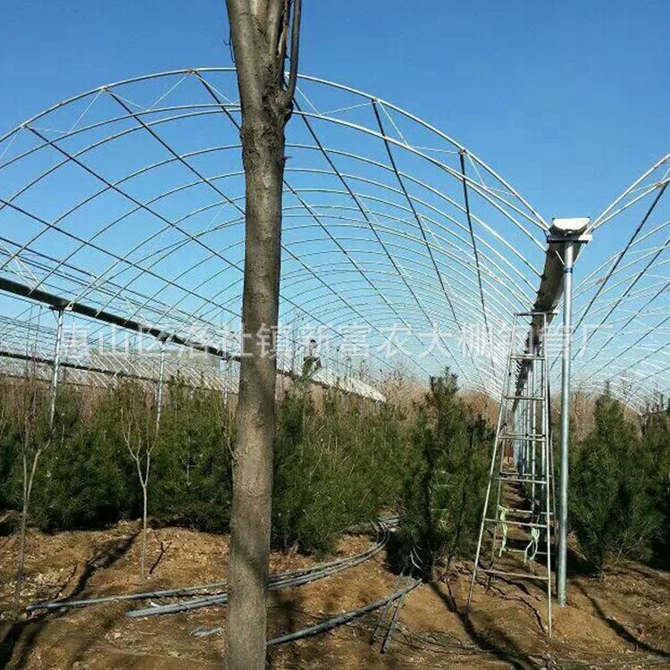 热销塑料大棚骨架镀锌管厂家直销薄膜温室大棚连栋薄膜温室大棚