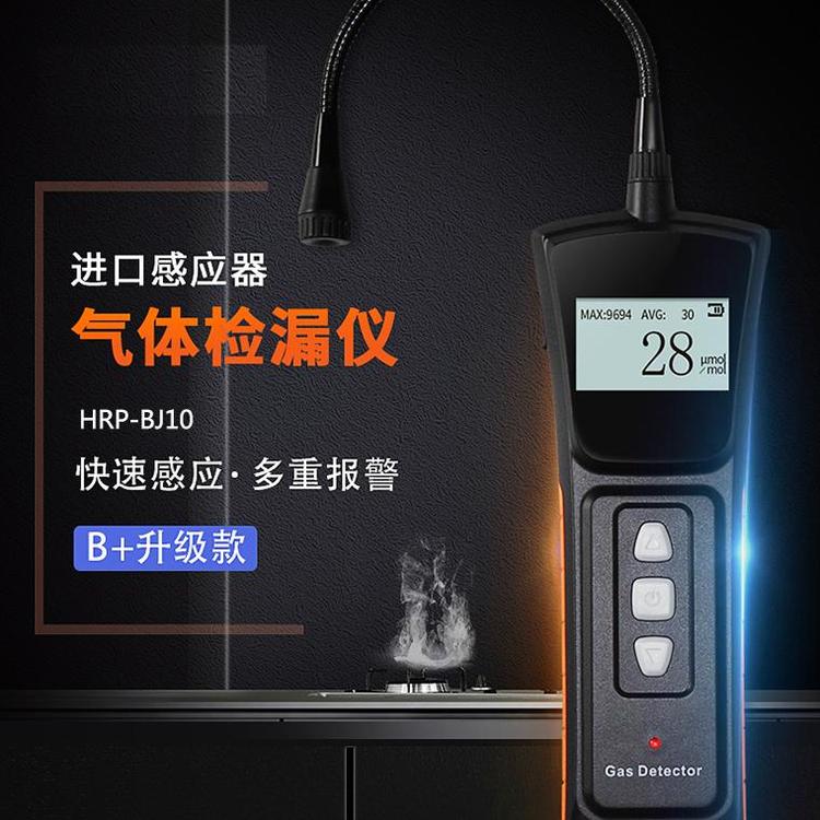 汇瑞埔气体检漏仪品牌 气体测漏仪质保一年