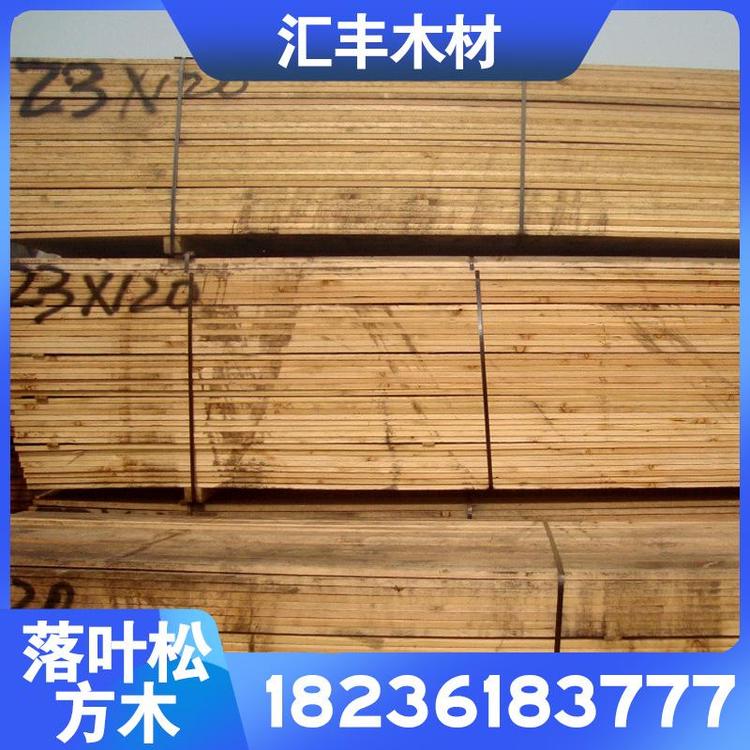 优质落叶松原木方木优质落叶松6M—70cm原木板材板材加工直销 木材 落叶松木材厂家直销落叶松原木