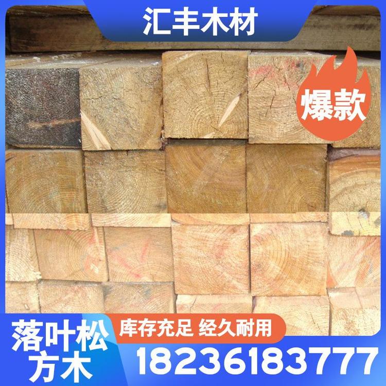 优质落叶松6M—70cm原木木材加工强MPa落叶松原木厂家直销木材 红木 木材厂家直销木材