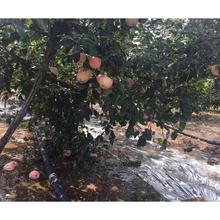 节水灌溉 经济耐用 喷灌带厂家批发 微灌带批发价格 金海雨