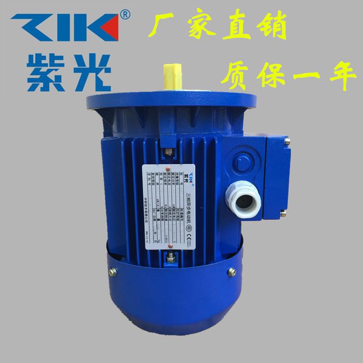 上海紫光电机，ZIK清华紫光电机，三相铝壳高效节能，YS100L1-4