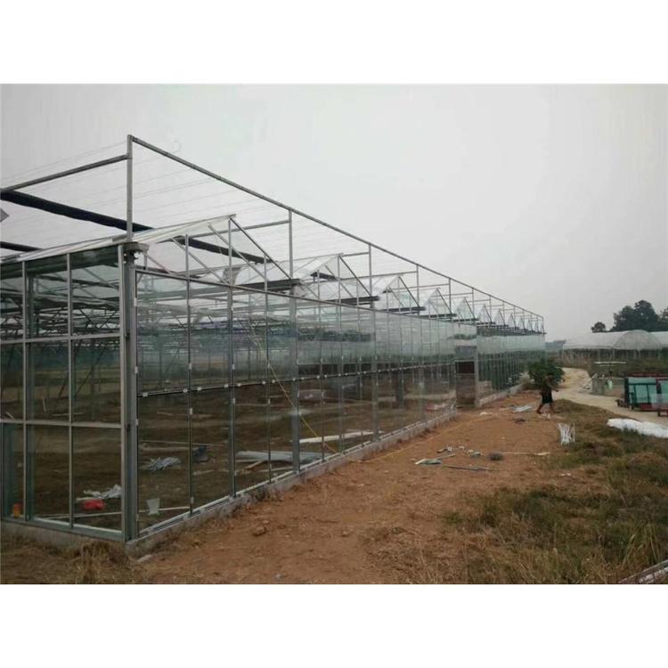 青州玻璃温室供应商  山水合温室   新型玻璃温室承接
