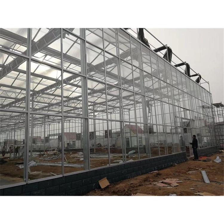 纹络型玻璃温室  智能温室建造 玻璃温室建造