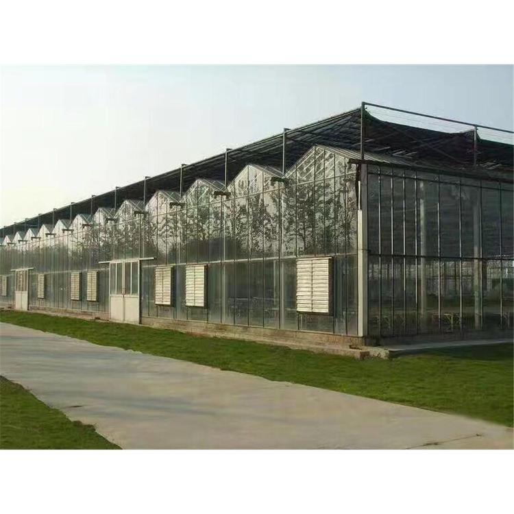 厂家定制   纹络型玻璃温室  温室大棚   玻璃温室报价