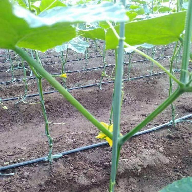 节水用具 滴灌带 N45贴片滴灌带厂家批发 喷灌带批发价格