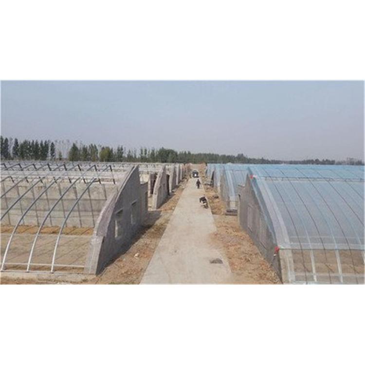 日光温室  蔬菜大棚  阳光板温室大棚建造