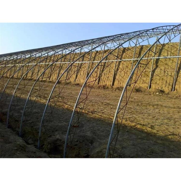 日光温室建造  花卉温室大棚设计  玻璃温室大棚建造商