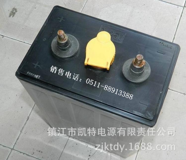 优质供应电动叉车搬运车用铅酸电瓶 电动搬运车用蓄电瓶 D-250